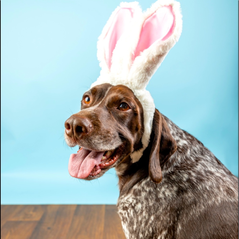 Easter Sale